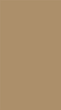 Load image into Gallery viewer, Mineral Foundation
